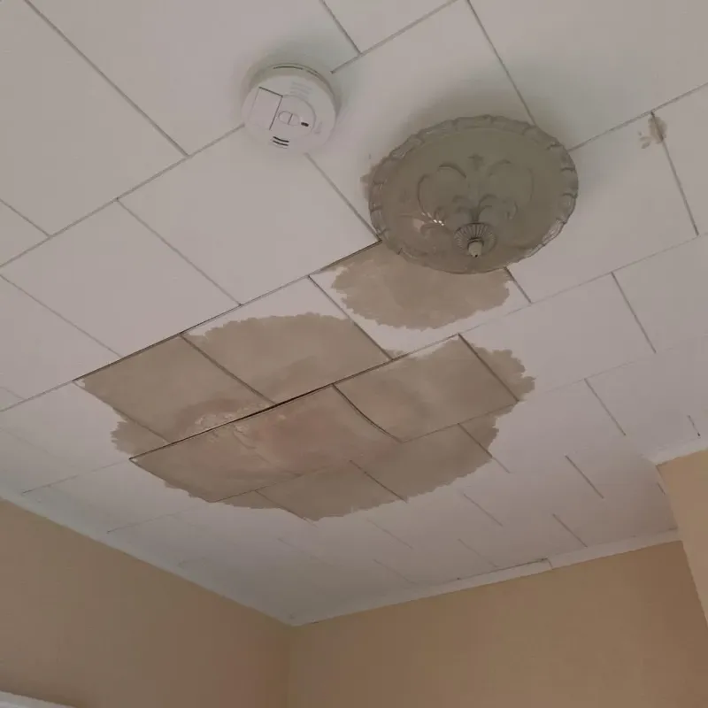 Ceiling Water Damage Repair in Sunland, CA